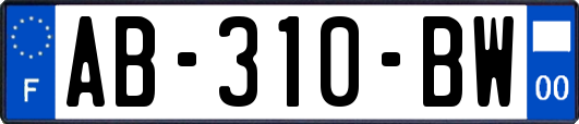 AB-310-BW