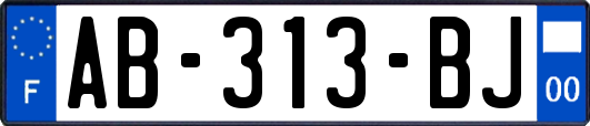 AB-313-BJ