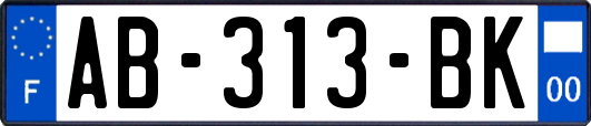 AB-313-BK