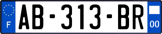 AB-313-BR