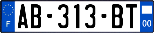 AB-313-BT