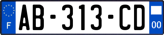 AB-313-CD