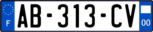 AB-313-CV