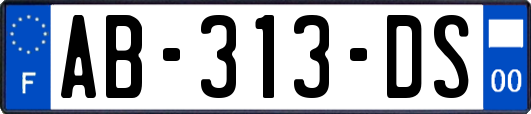 AB-313-DS