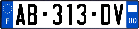 AB-313-DV