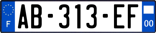 AB-313-EF