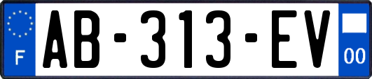 AB-313-EV