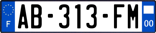 AB-313-FM