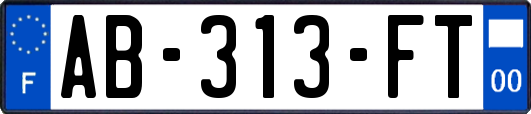 AB-313-FT