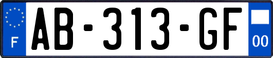 AB-313-GF