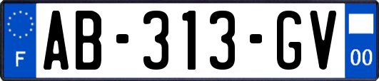AB-313-GV