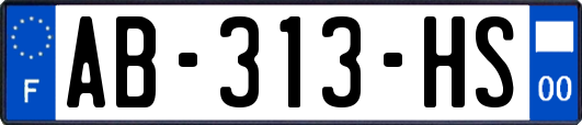 AB-313-HS