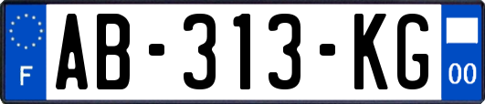 AB-313-KG