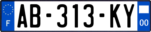 AB-313-KY