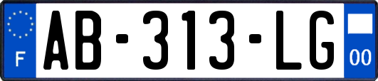 AB-313-LG