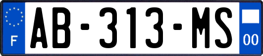 AB-313-MS