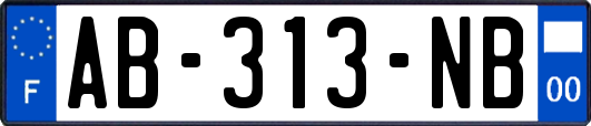 AB-313-NB
