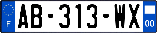 AB-313-WX