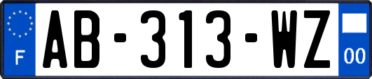 AB-313-WZ