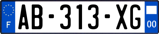 AB-313-XG