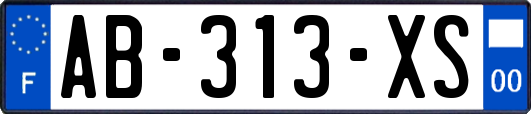 AB-313-XS