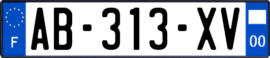 AB-313-XV