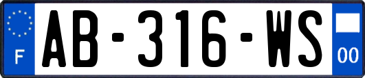 AB-316-WS