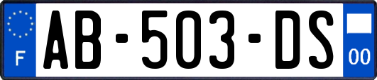 AB-503-DS