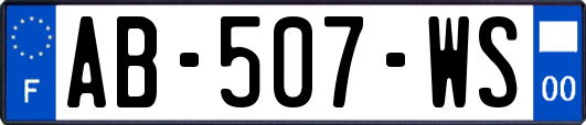 AB-507-WS