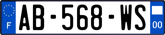 AB-568-WS