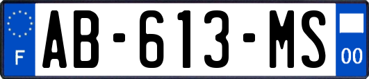 AB-613-MS