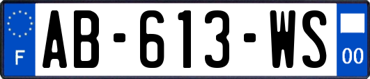 AB-613-WS