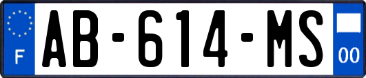 AB-614-MS