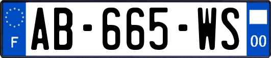 AB-665-WS