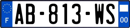 AB-813-WS