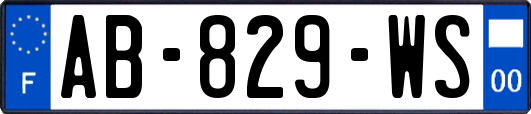 AB-829-WS