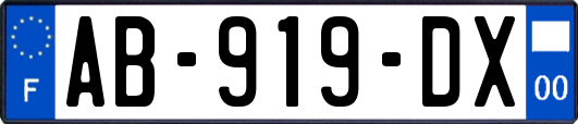 AB-919-DX