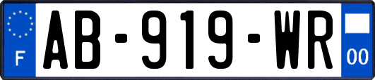 AB-919-WR