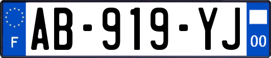AB-919-YJ