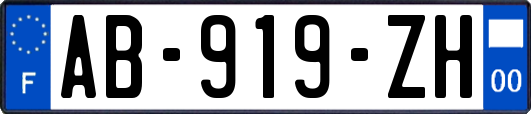 AB-919-ZH