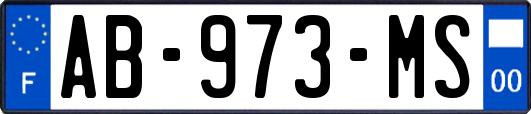 AB-973-MS