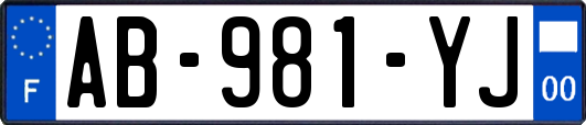 AB-981-YJ