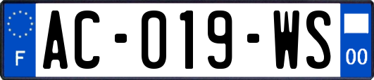 AC-019-WS
