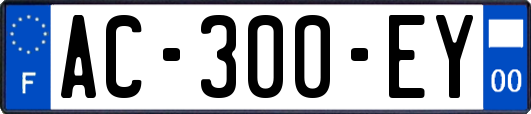 AC-300-EY