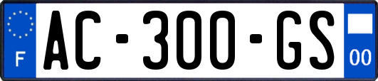 AC-300-GS