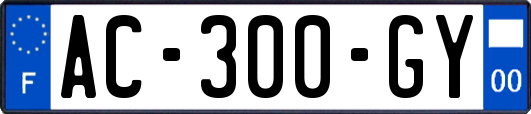 AC-300-GY