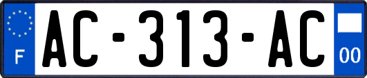 AC-313-AC