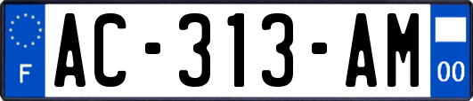 AC-313-AM