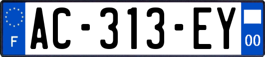 AC-313-EY