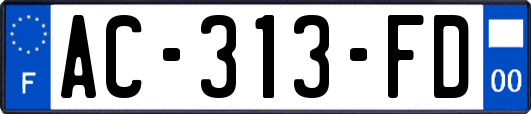 AC-313-FD